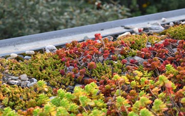 the cost of Withersfield green roof installation