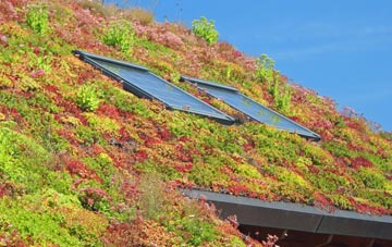 Withersfield living roof systems